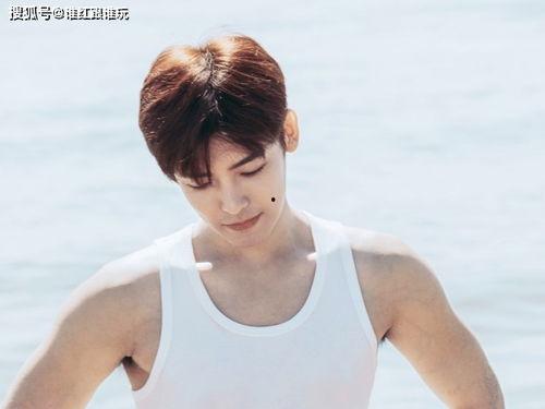 侯明昊圈内人爆料视频,娱乐圈背后的真实故事