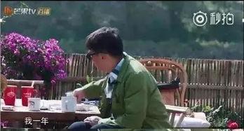 圈内爆料佟丽娅黄磊,幕后故事揭秘